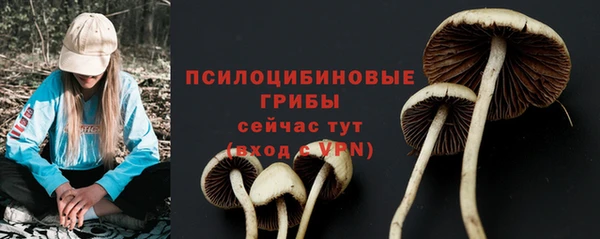альфа пвп Каменка