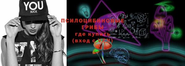 альфа пвп Каменка