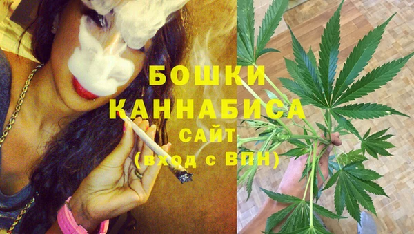 соль ск Каменногорск